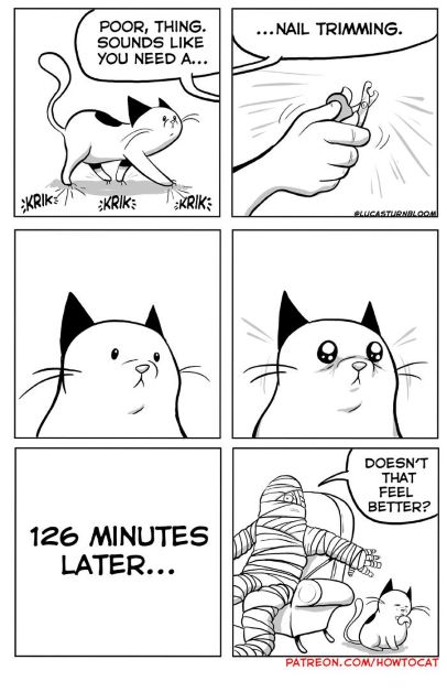 nail trimming cat.jpg